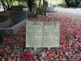 image of grave number 931486